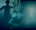 bill_bahmermann___dreams_of_the_garden__2007__usa_video