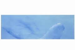 photo25