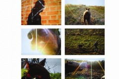 photo45