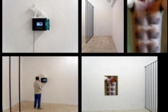 giuseppediguida_italycaveau2007installation_digitalprintonaluminiumstrongboxvideo