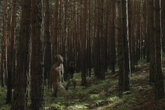 2009