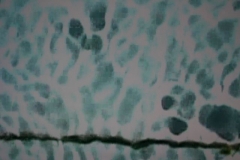 iranian_glances_azadek_nilchiani__iran_ville_de_kashan__1__2006_video