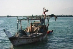 iranian_glances_mohammad_razdasht__iran_children_fisher_of_persian_gulf__2005_video