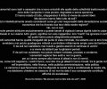brunodestefano_madavverohannofattotuttodasoli2008