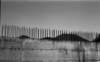 sergioriccio_ercolano1999cm74x120stampafotograficasualluminio_small