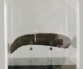 walterpicardi_caccaricca2007cm130x15x15plexiglasspoliespansoanellocondiamantesin