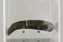 walterpicardi_caccaricca2007cm130x15x15plexiglasspoliespansoanellocondiamantesin