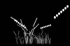 vibhagalhotra_wheredowecomefrom2006_interactiveartwork