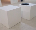 21684669_10213092314517746_1397453570_o