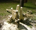 DSCN1047