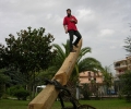 DSCN1166