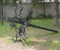 DSCN1188