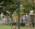 IMG_4227