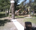 PICT0005 2