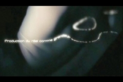 sugurugotocontinuum2006