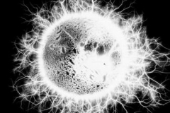fleischthorsten_energy