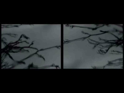 boldizsar_csernak___united_kingdom_a_single_glass_of_water_lights_up_the_world__2009_video