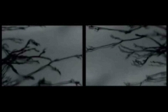 boldizsar_csernak___united_kingdom_a_single_glass_of_water_lights_up_the_world__2009_video