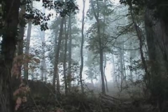 eva_rorandelli___italy_hiding__2009_video