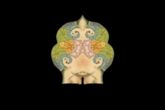 john_deneuve___france_cerebral_adventure__2009_video