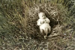 maria_korporal___neetherland_un_gatto_ha_sette_vite__2009_video
