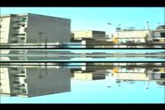 michele_pesce___italy_little_partenope__2009_video