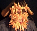 filippostsitsopoulos_craze
