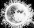 fleischthorsten_energy