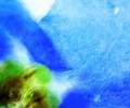 primordial_soup_hideyuki_tanaka