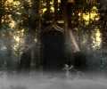 variations_in_the_stone_forest_questbrouq