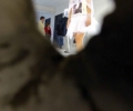 photo9