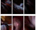 44