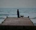 iranian_glances_khosro_khosravi___farid_jafari__iran_port__2003_video