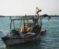 iranian_glances_mohammad_razdasht__iran_children_fisher_of_persian_gulf__2005_video