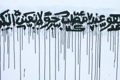 8_fathi_hassan