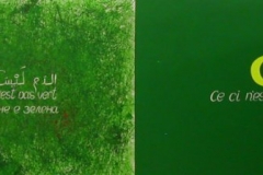 photo10