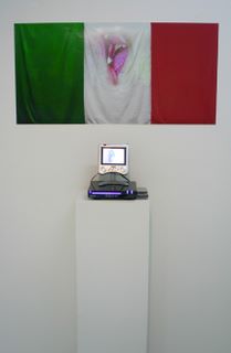 sebastiano_deva_italia_fratelli_d_italia__2010_installazione