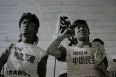liu_wei_cina_floating_memory__2001_2004_frame_by_video3