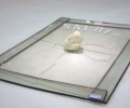 di_guida_giuseppe_e_vargas_raffaele__italia__testa_di_marx_che_frantuma_una_vetrina__2009