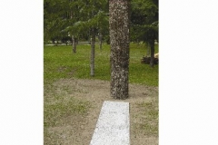 photo4