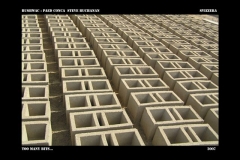 bushwac___paed_conca__steve_buchanan