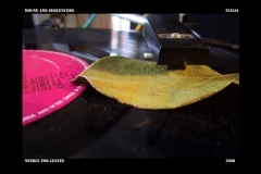 mouse_and_sequencers