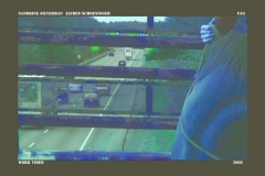 sandrine_silverman__alfred_schoeninger