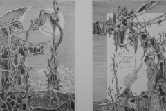 photo6