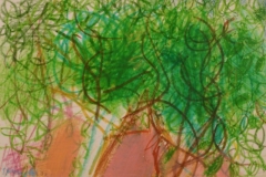 photo8