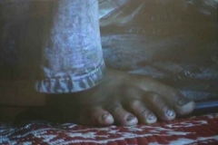 gigi_scaria_india_picture_perfect__2006_video