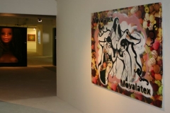veduta_dell_installazione1
